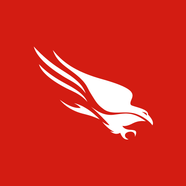 CrowdStrike Falcon image