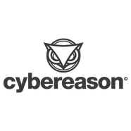 Cybereason image